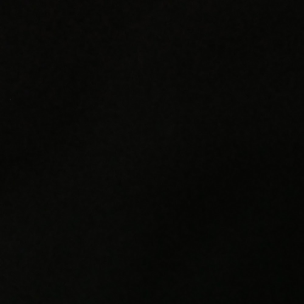 Meet your Posher, Maddie